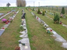 Cmentarz - widok ogólny w listopadzie 2012 roku
