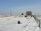 Cmentarz - zima 2013-14
