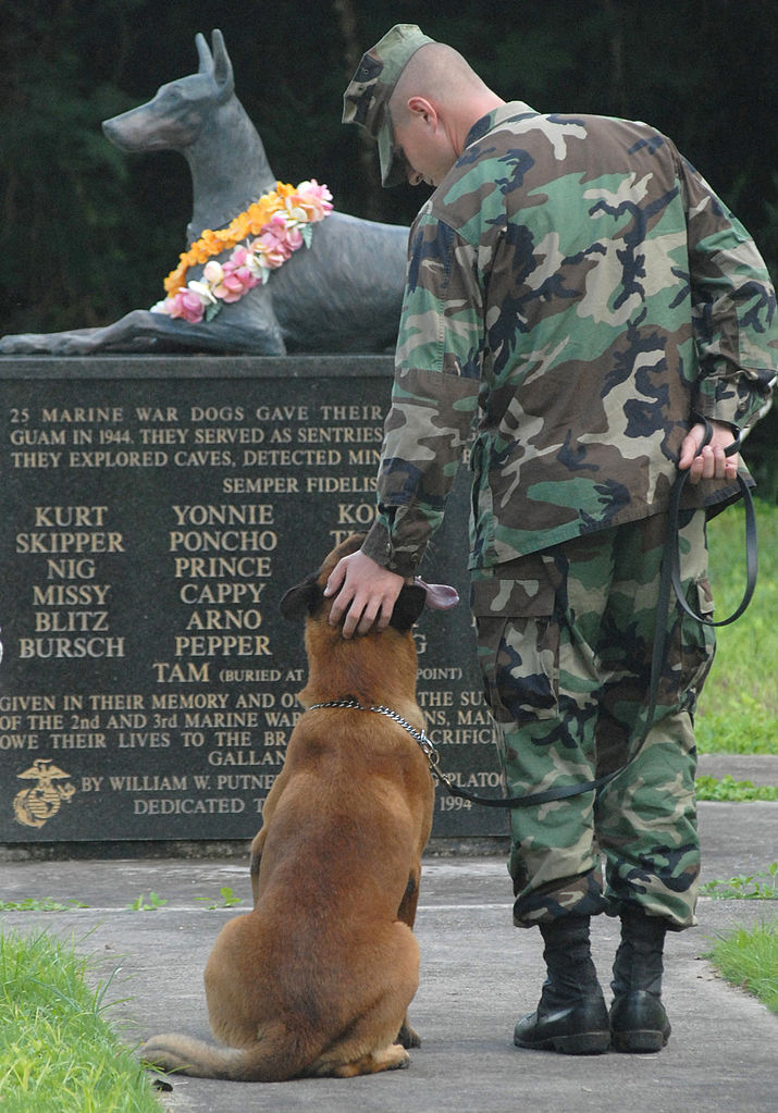 War_Dog_Cemetery_Navel_Base_Guam (z Wikipedii)